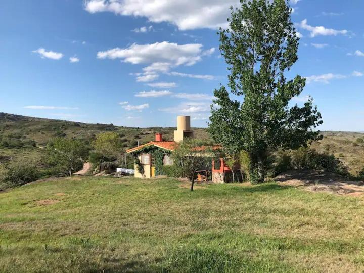 Cabaña del Vigía - Casa de 2 dormitorios - 14
