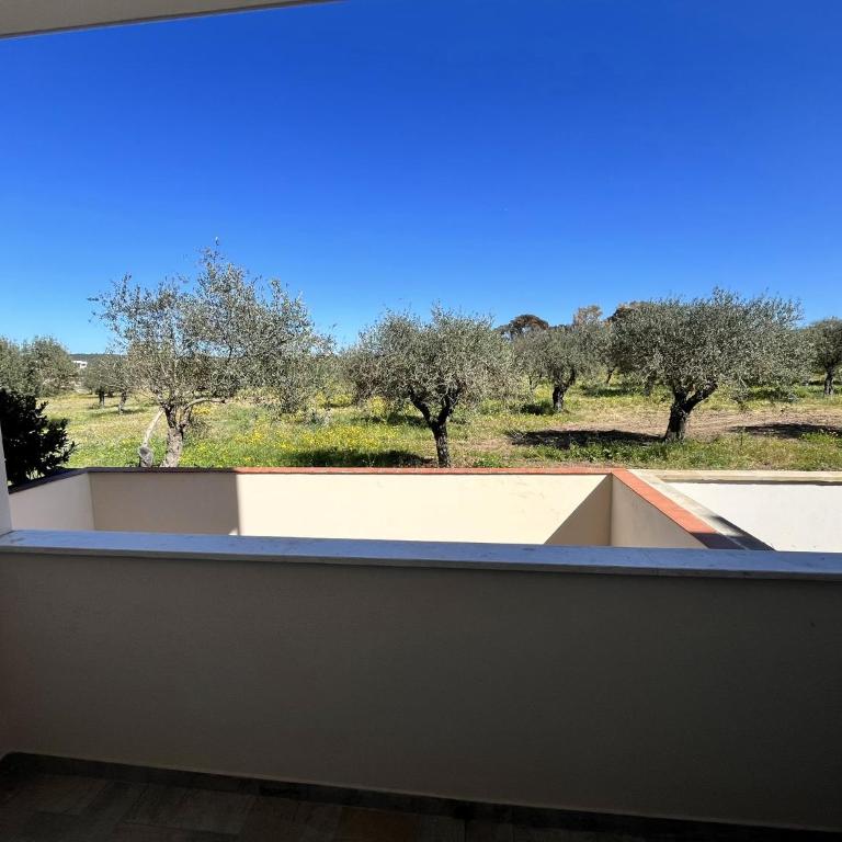 Stella Marina Apartments - Appartamento con 1 Camera da Letto e Terrazza - 7