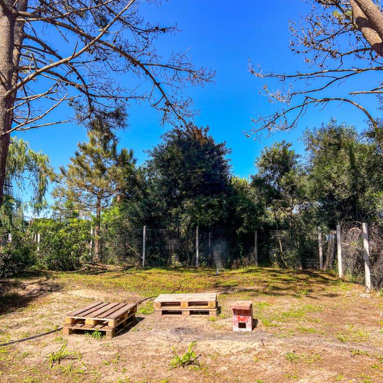 CASA de DESCANSO en PUIMAYEN - One-Bedroom House - 20