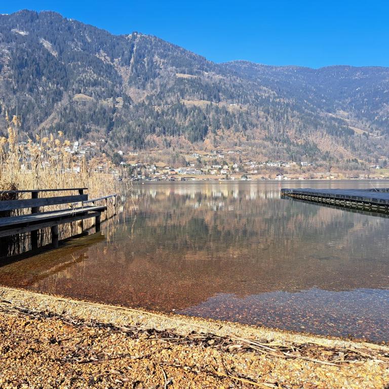 Sommertraum am Ossiacher See - direkter Seezugang, zentrumsnah und Erlebniscard - Apartment mit Seeblick - 10