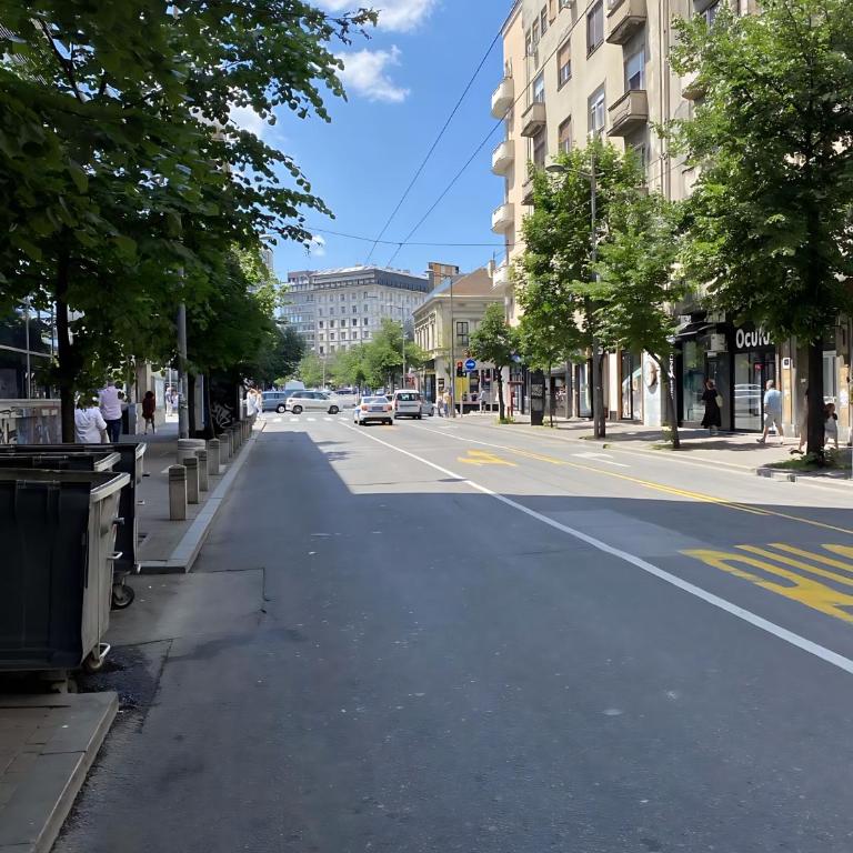 Skadarlija Square - One-Bedroom Apartment - 12