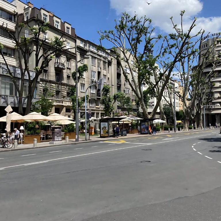 Skadarlija Square - One-Bedroom Apartment - 13