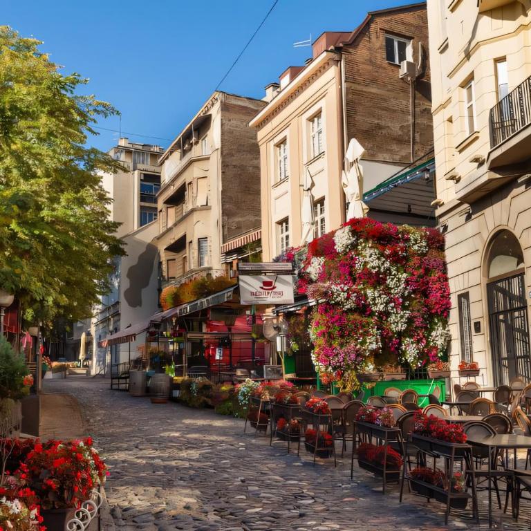 Skadarlija Square - One-Bedroom Apartment - 17