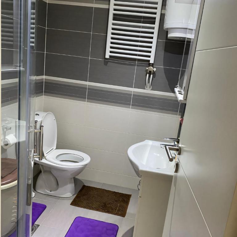 Skadarlija Square - One-Bedroom Apartment - 6