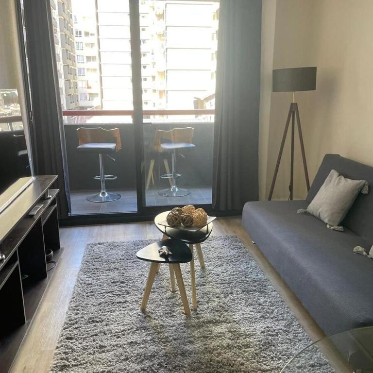 Departamento comodo en Santiago - Apartamento de 1 dormitorio - 10