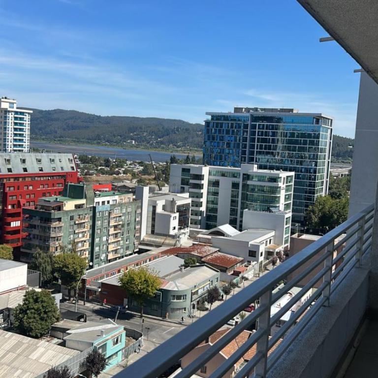 Maravilloso Departamento En Centro De Concepción - Apartamento de 1 dormitorio - 1