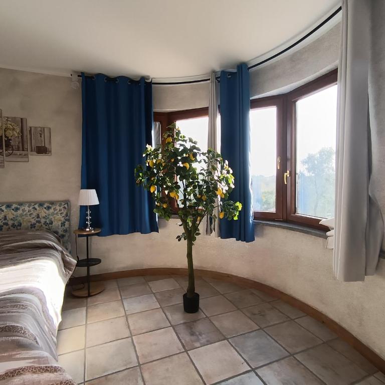 Casa Acquabianca - Appartamento con 1 Camera da Letto - 36