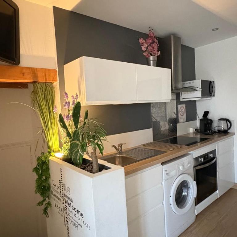 Goeland 1, classé 3, climatisé, wifi, terrasse , 150 m de la plage - Appartement 1 Chambre - 1
