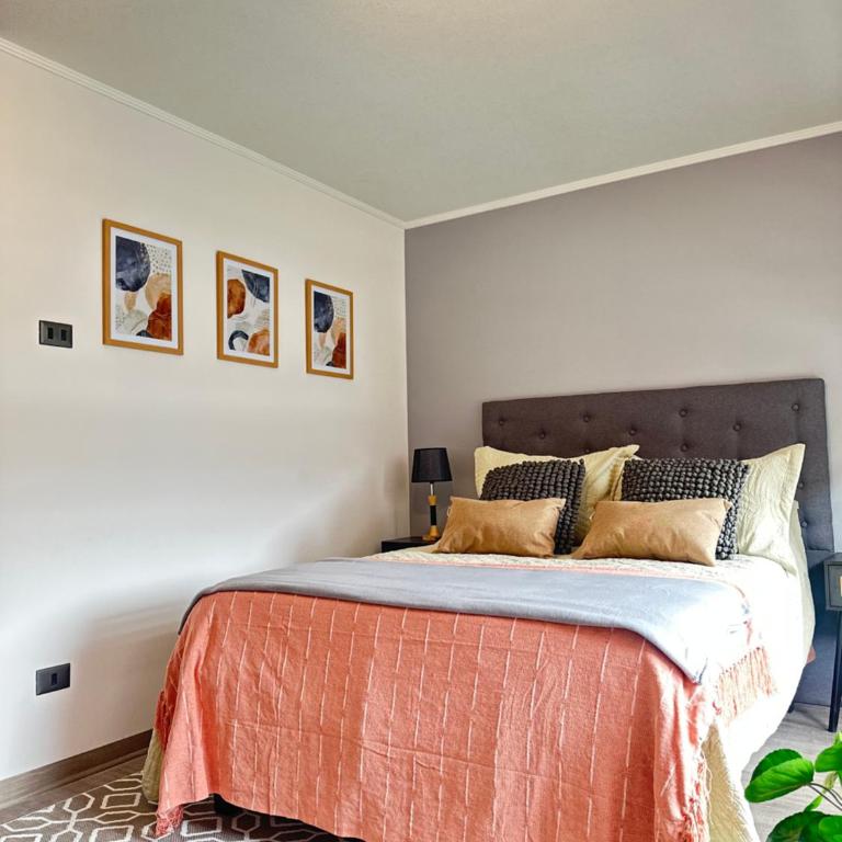 Hermoso Estudio - Apartamento de 1 dormitorio - 6