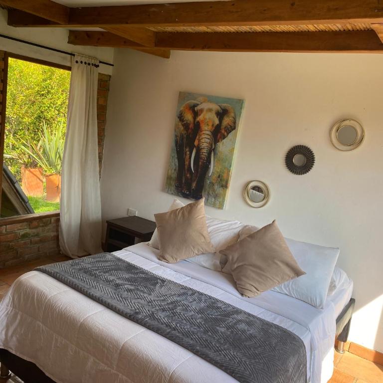 Glamping Pozo Azul, Villa de Leyva - Superior Double or Twin Room with Terrace - 10