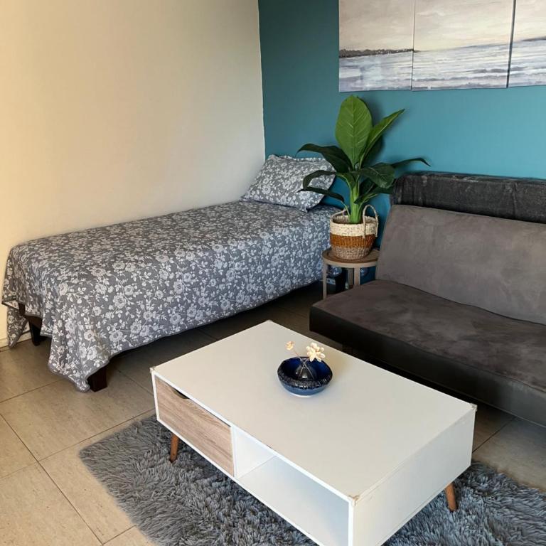 Acogedor Departamento excelente ubicación en Reñaca - Apartamento de 1 dormitorio - 14