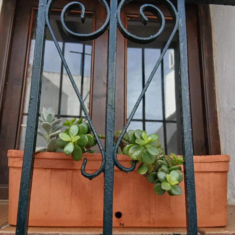 La segunda fuente - Apartamento de 1 dormitorio - 11