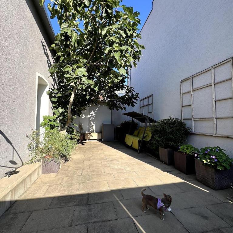 Loft-style B17 - Haus mit 2 Schlafzimmern - 9