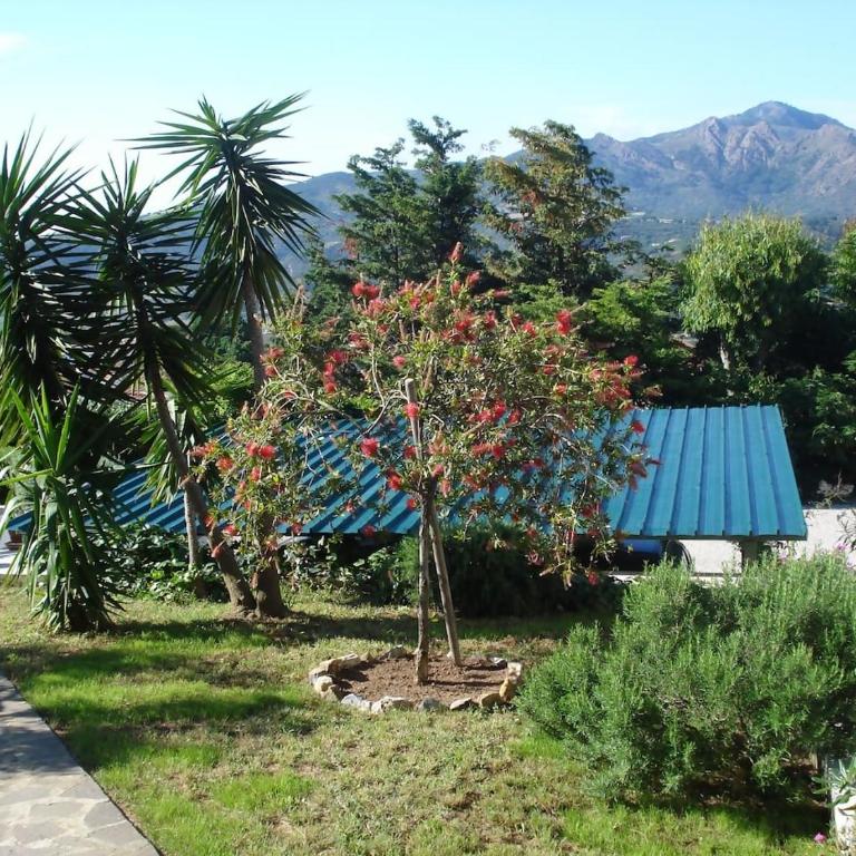 Villasoledad appartamenti per vacanze - Appartamento con 1 Camera da Letto - 15