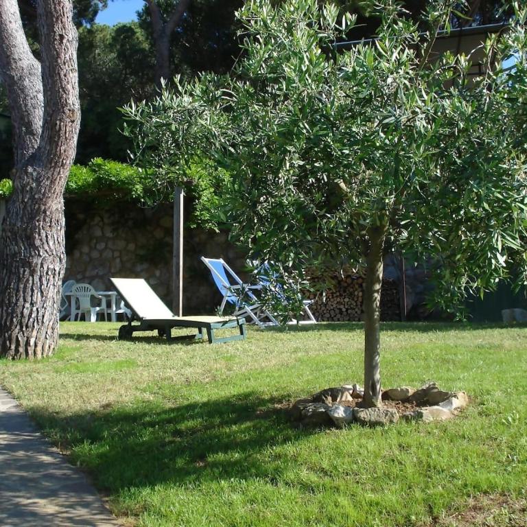 Villasoledad appartamenti per vacanze - Appartamento con 1 Camera da Letto - 16
