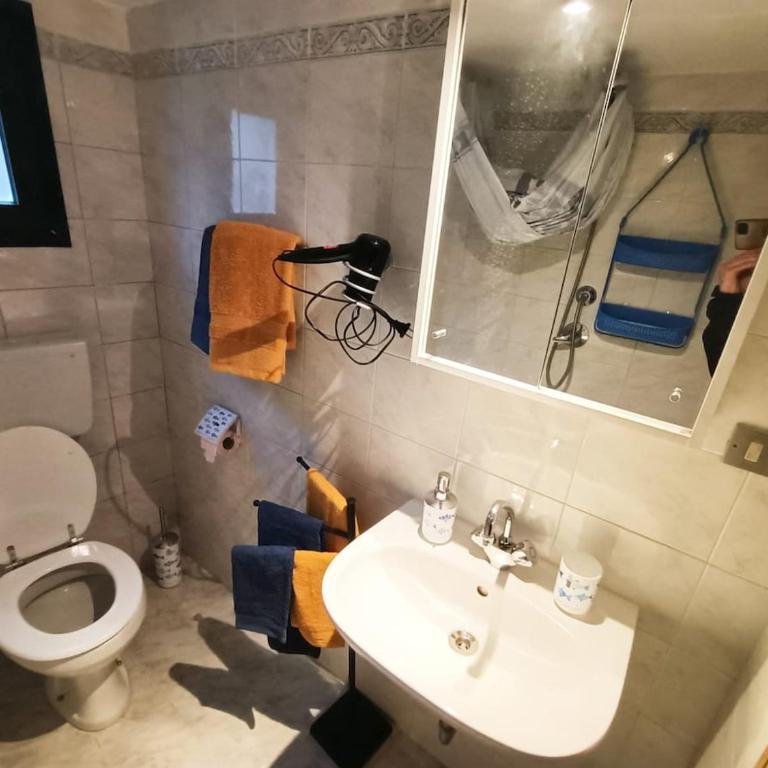 Appartamento - I girasoli - Appartamento con 1 Camera da Letto - 11