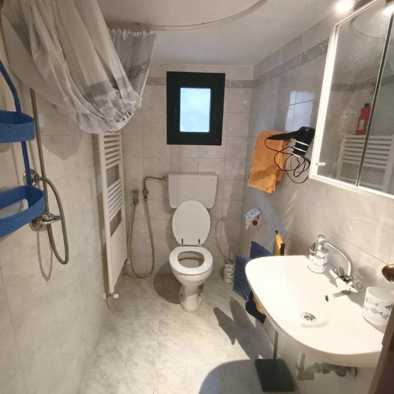 Appartamento - I girasoli - Appartamento con 1 Camera da Letto - 13