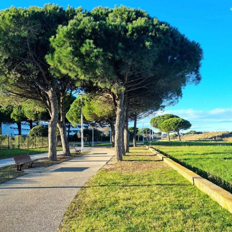 Les Spas de la Mer, Appart&Spa Aloha, 100m de la plage, Plein cœur du Grau - Appartamento con 1 Camera da Letto - 18