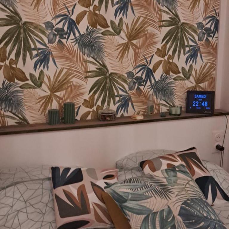 A 50m des cures libre mi septembre joli studio rénové orienté Nord bien ventilé - Appartement 1 Chambre - 53