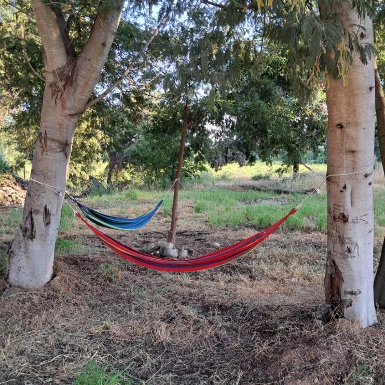 Aromal del Claro - Cabaña Colibrí - Bungalow de 2 dormitorios - 32