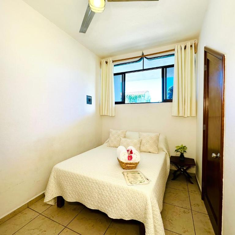 CABO BOHEMIA Tropical Garden Studios - Estudio con sofá cama - 5