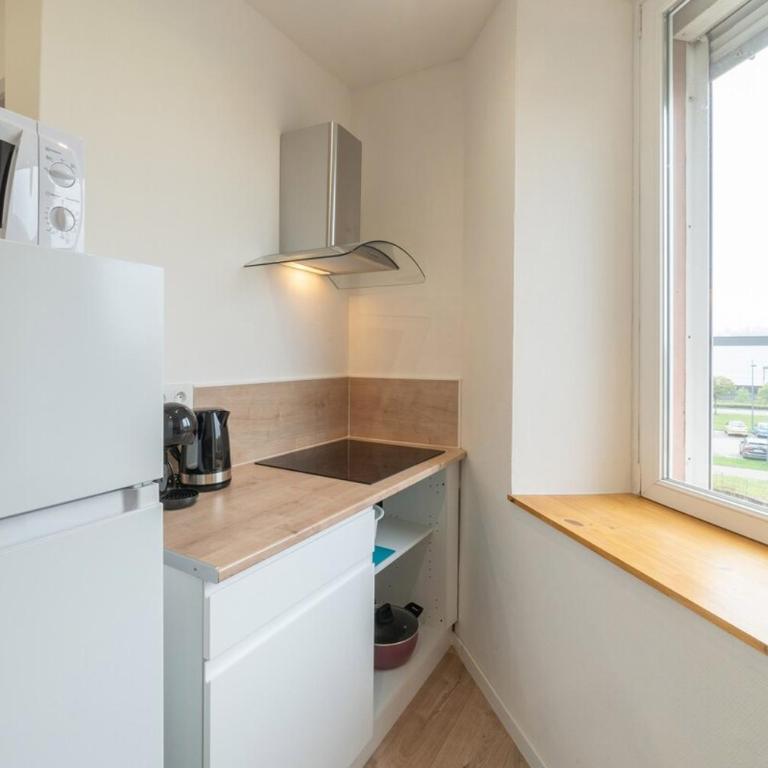 ALMA BIG Bel Appartement Proche Gare Mulhouse - Appartement 2 Chambres - 15