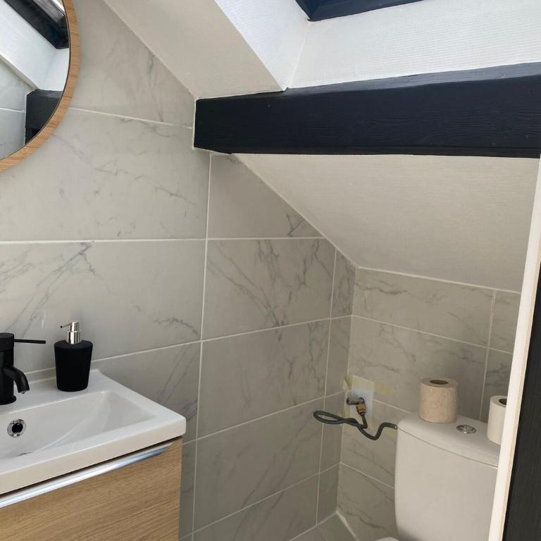 Studio D Quai de l Alma Mulhouse - Appartamento con 1 Camera da Letto - 4