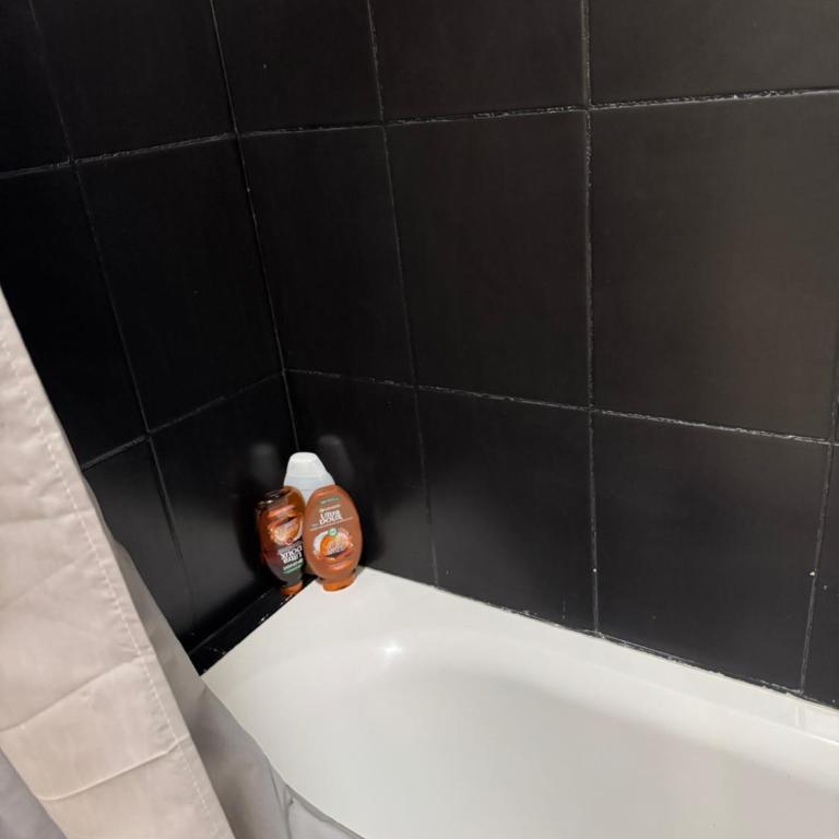 L'assomption au calme paris 16e - Appartement 1 Chambre - 40