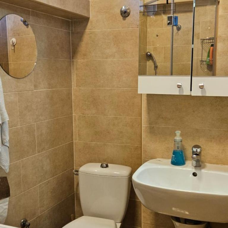 Oldest House Belgrade - Apartman sa 1 Spavaćom Sobom sa Pogledom na Grad - 17