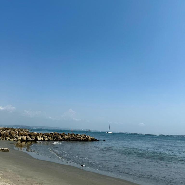 Mar Celeste Suite - Apartamento de 1 dormitorio - lado mar - 50