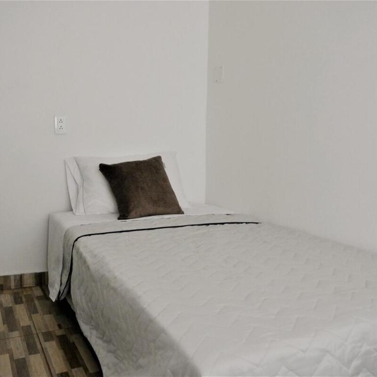 Apto 301 - Remodelado, iluminado y buena vista - Casa Orquídeas - Apartamento de 2 dormitorios - 3