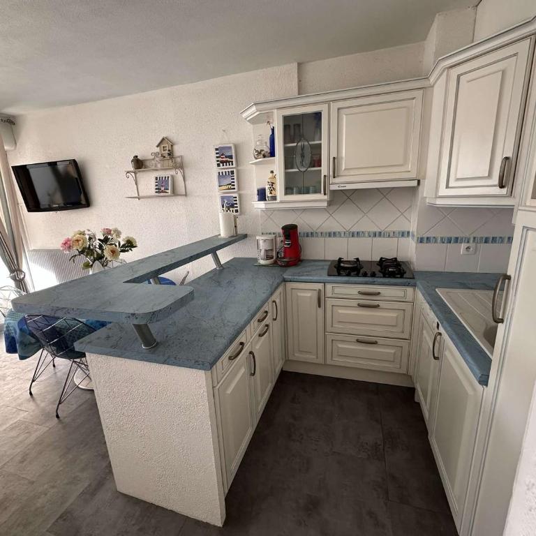 Bel appart 2 pièces 5 pers - Port Camargue - FR-1-731-125 - Apartment - 5