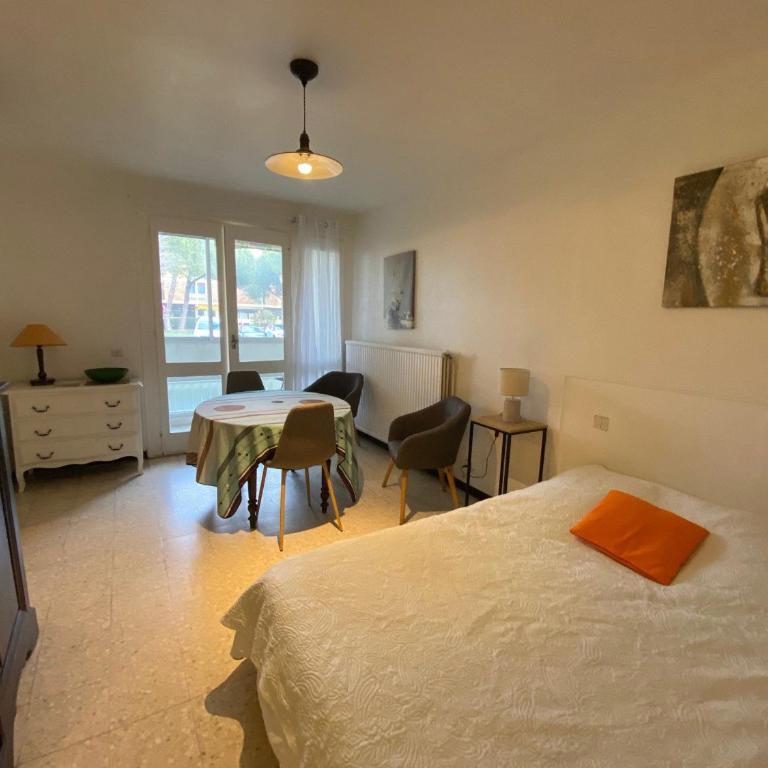Appartement T1 à Balaruc, animaux admis, parking privé - FR-1-503-181 - Studio - 2