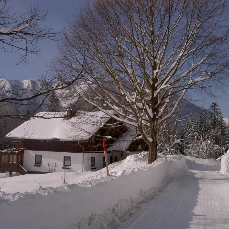 Haus Brandstaetter - Apartamento de 3 dormitorios - 29