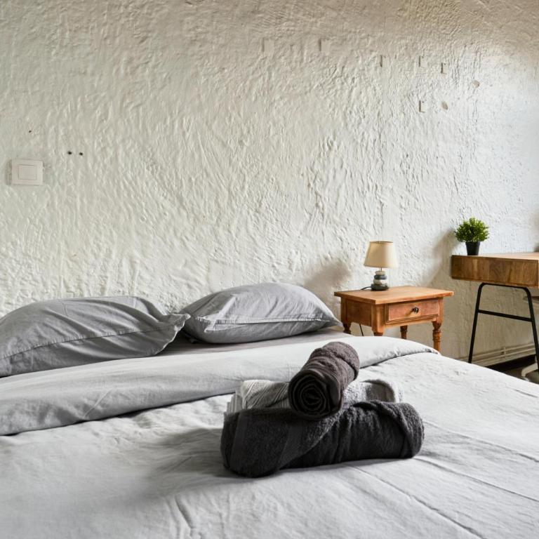 Le nid lillois - Appartement 1 Chambre - 15