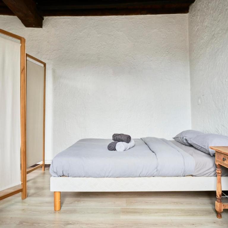 Le nid lillois - Appartement 1 Chambre - 13
