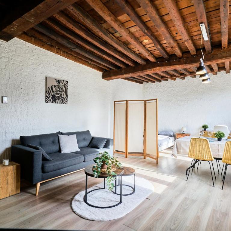 Le nid lillois - Appartement 1 Chambre - 19