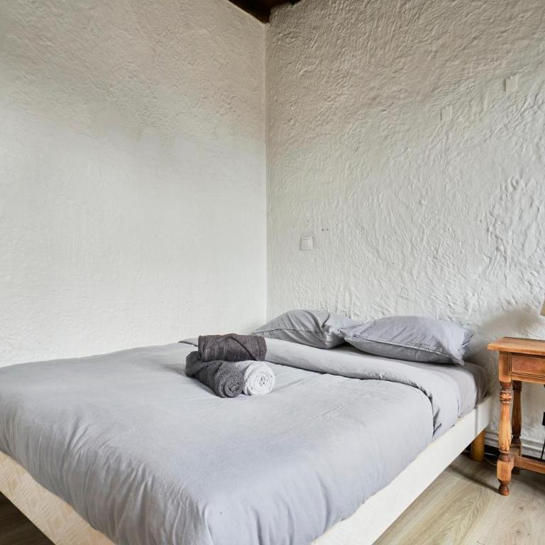 Le nid lillois - Appartement 1 Chambre - 14
