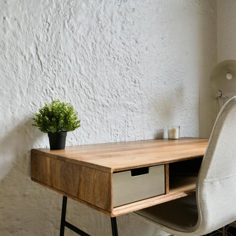 Le nid lillois - Appartement 1 Chambre - 22