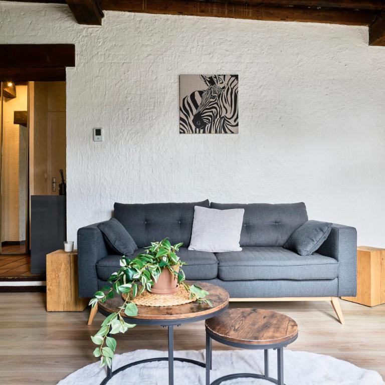 Le nid lillois - Appartement 1 Chambre - 33