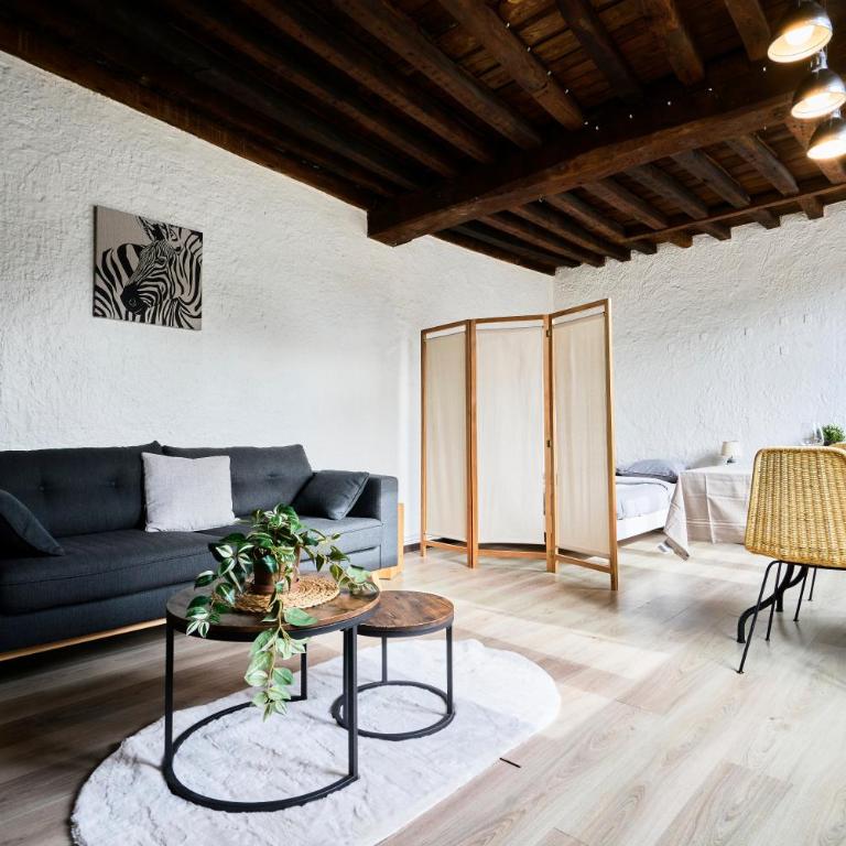 Le nid lillois - Appartement 1 Chambre - 16
