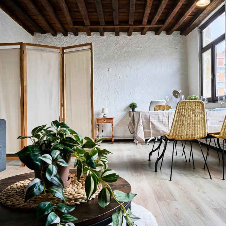 Le nid lillois - Appartement 1 Chambre - 18