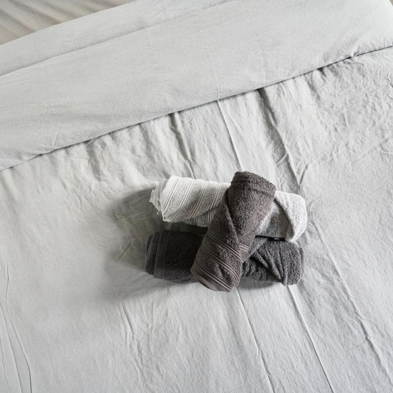 Le nid lillois - Appartement 1 Chambre - 11