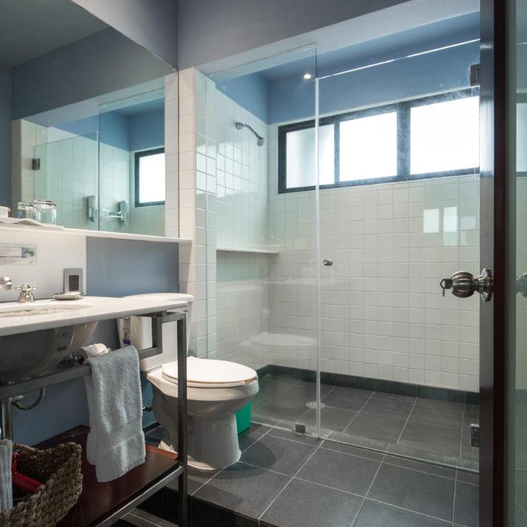 FlowSuites Polanco - Suite Executive - 1 cama doble - 12
