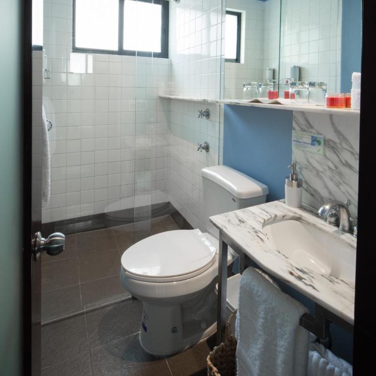FlowSuites Polanco - Suite Executive - 1 cama doble - 10