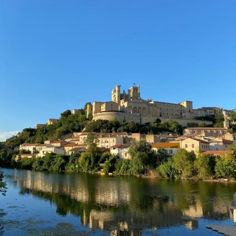 Foch 3-Studio-Beziers center -wifi -tv connected - Appartement 1 Chambre - 7