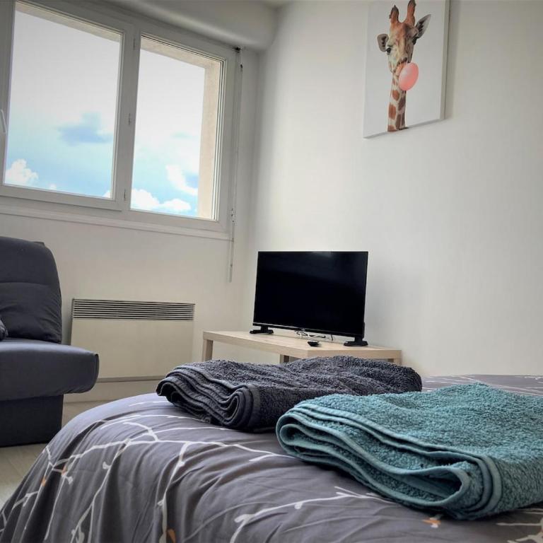 Appartement double à Limoges - Apartment mit 1 Schlafzimmer - 2
