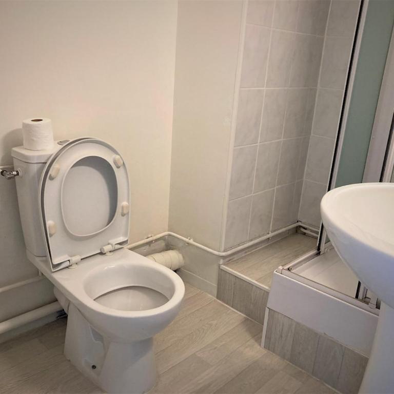Appartement double à Limoges - Apartment mit 1 Schlafzimmer - 12