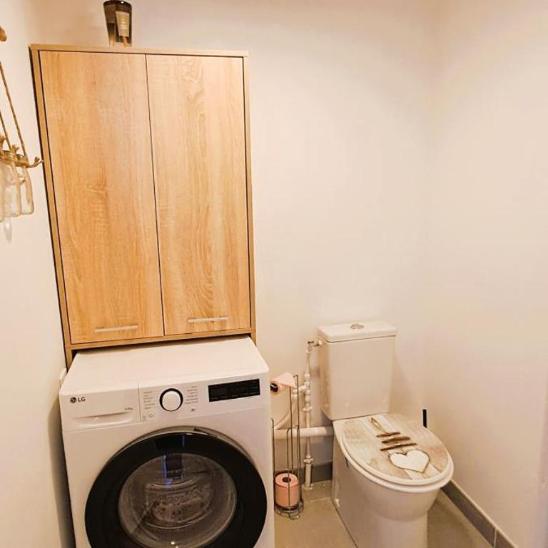 L'air du large superbe T3 lumineux avec jardin - Appartement 2 Chambres - 9