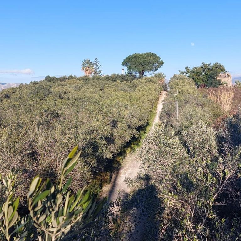The Green Planet - Casa Vacacional de 3 dormitorios - 41